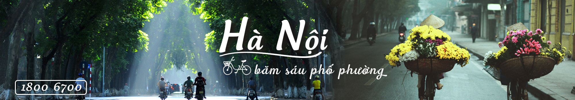 Tour Hà Nội