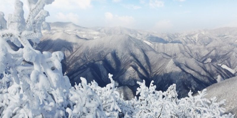 Núi tuyết Taebaek