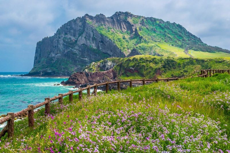 Đảo Jeju - Điểm dừng chân lý tưởng khi du lịch Hàn Quốc 