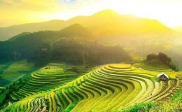 Thiên nhiên xanh ngát tại Mộc Châ