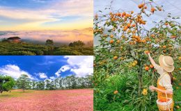 Vẻ đẹp mùa thu tại Đà Lạt
