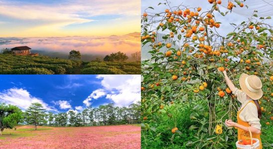 Vẻ đẹp mùa thu tại Đà Lạt