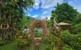 The Fairy Forest - Khu rừng cổ tích đẹp như mơ tại Nha Trang