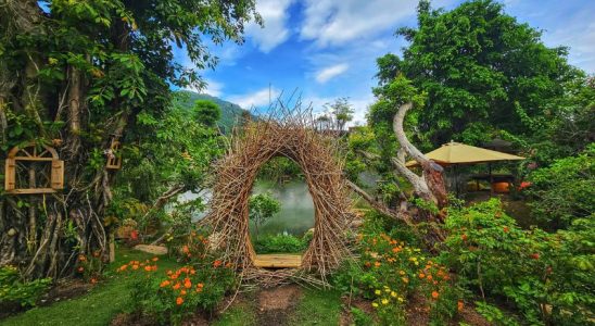 The Fairy Forest - Khu rừng cổ tích đẹp như mơ tại Nha Trang
