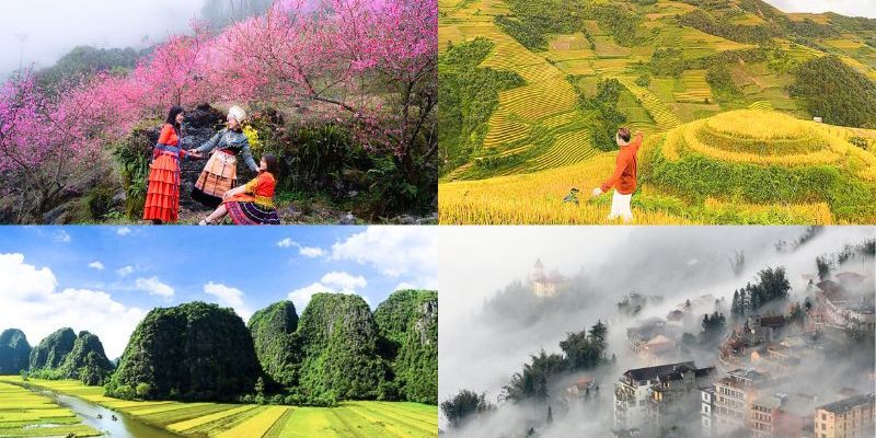 Vẻ đẹp thiên nhiên miền Bắc qua từng mùa
