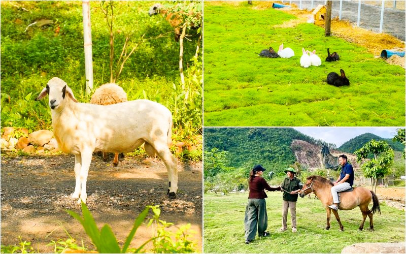 Trải nghiệm thú vị khi du lịch Đà Nẵng