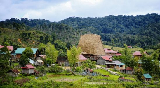 Khung cảnh bình yên của ngôi làng