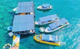 Bãi Dứa Quy Nhơn -