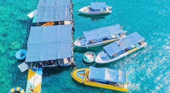 Bãi Dứa Quy Nhơn -