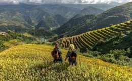 Sapa mùa thu khoác lên mình sắc vàng của những thửa ruộng bậc thang